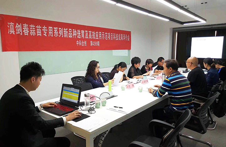 春播夏收蒜苗专用新品种选育及高效应用示范 anli.jpg